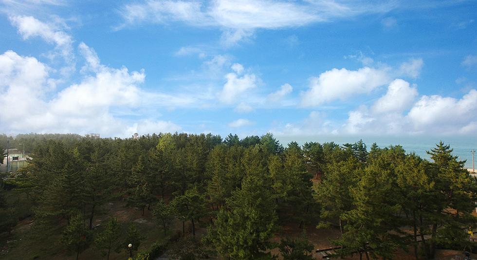 Jumunjin Resort Κανγκούνγκ Εξωτερικό φωτογραφία